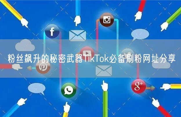 粉丝飙升的秘密武器TikTok必备刷粉网址分享
