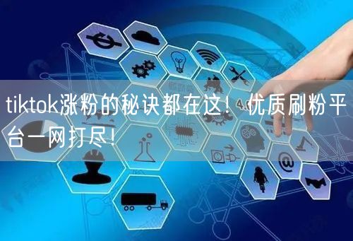 tiktok涨粉的秘诀都在这！优质刷粉平台一网打尽！