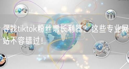 寻找tiktok粉丝增长利器？这些专业网站不容错过！