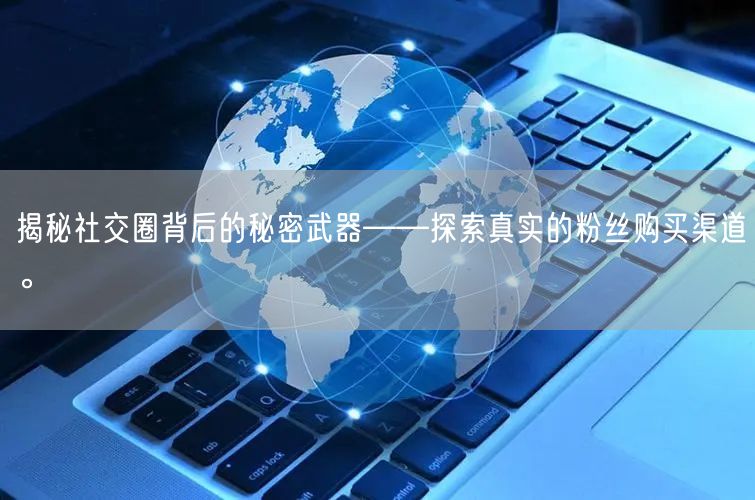 揭秘社交圈背后的秘密武器——探索真实的粉丝购买渠道。