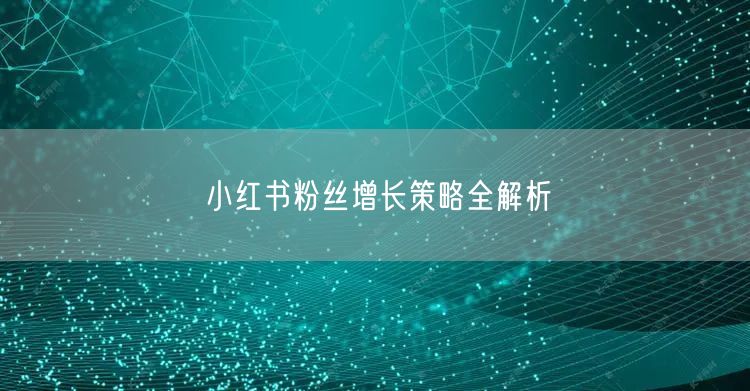 小红书粉丝增长策略全解析