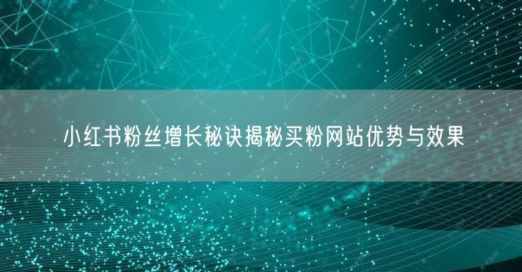 小红书粉丝增长秘诀揭秘买粉网站优势与效果