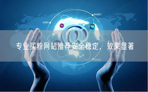 专业买粉网站推荐安全稳定，效果显著