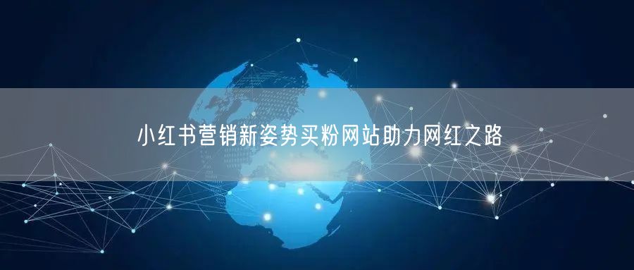 小红书营销新姿势买粉网站助力网红之路