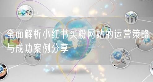 全面解析小红书买粉网站的运营策略与成功案例分享