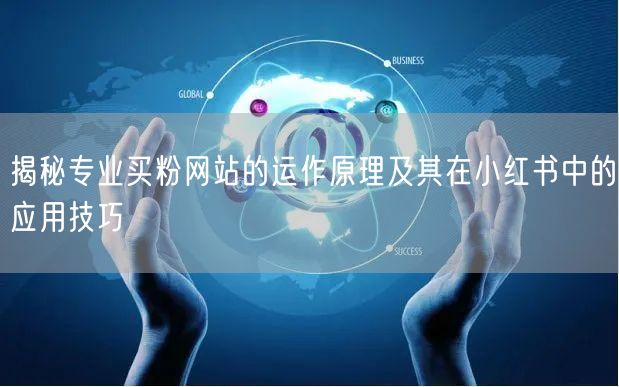 揭秘专业买粉网站的运作原理及其在小红书中的应用技巧