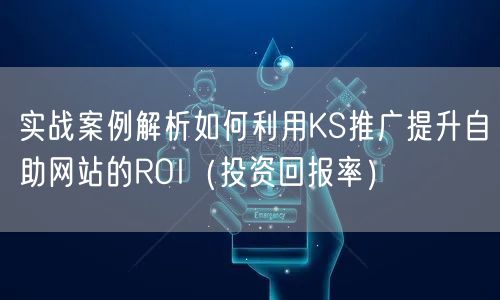 实战案例解析如何利用KS推广提升自助网站的ROI（投资回报率）