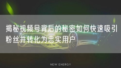 揭秘视频号背后的秘密如何快速吸引粉丝并转化为忠实用户