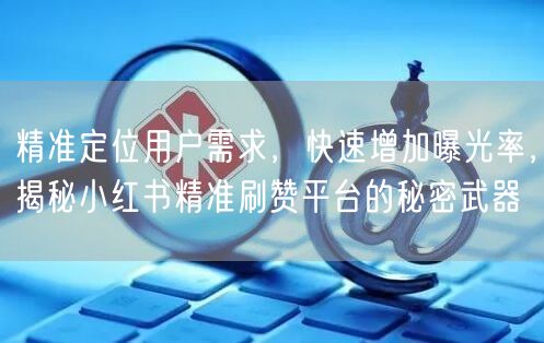 精准定位用户需求，快速增加曝光率，揭秘小红书精准刷赞平台的秘密武器