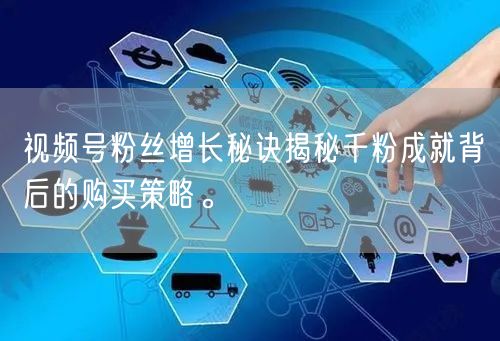 视频号粉丝增长秘诀揭秘千粉成就背后的购买策略。