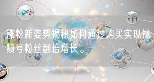 涨粉新姿势揭秘如何通过购买实现视频号粉丝翻倍增长。