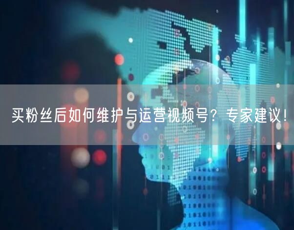 买粉丝后如何维护与运营视频号？专家建议！