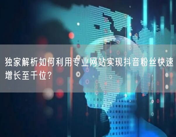 独家解析如何利用专业网站实现抖音粉丝快速增长至千位？