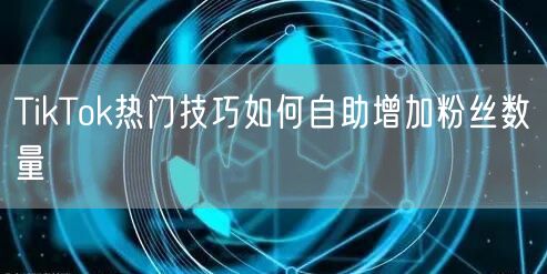 TikTok热门技巧如何自助增加粉丝数量