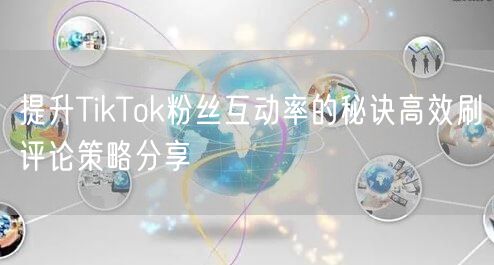 提升TikTok粉丝互动率的秘诀高效刷评论策略分享